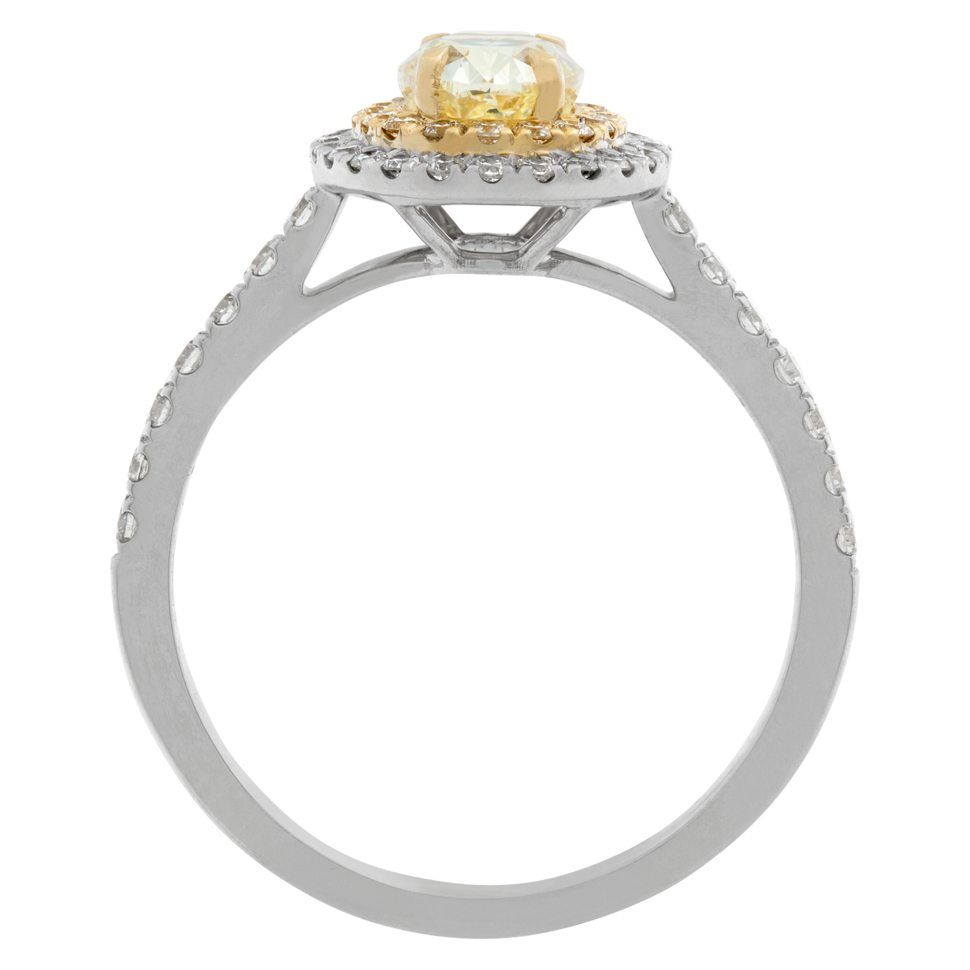 Yellow diamond ring in 18k white gold image 4