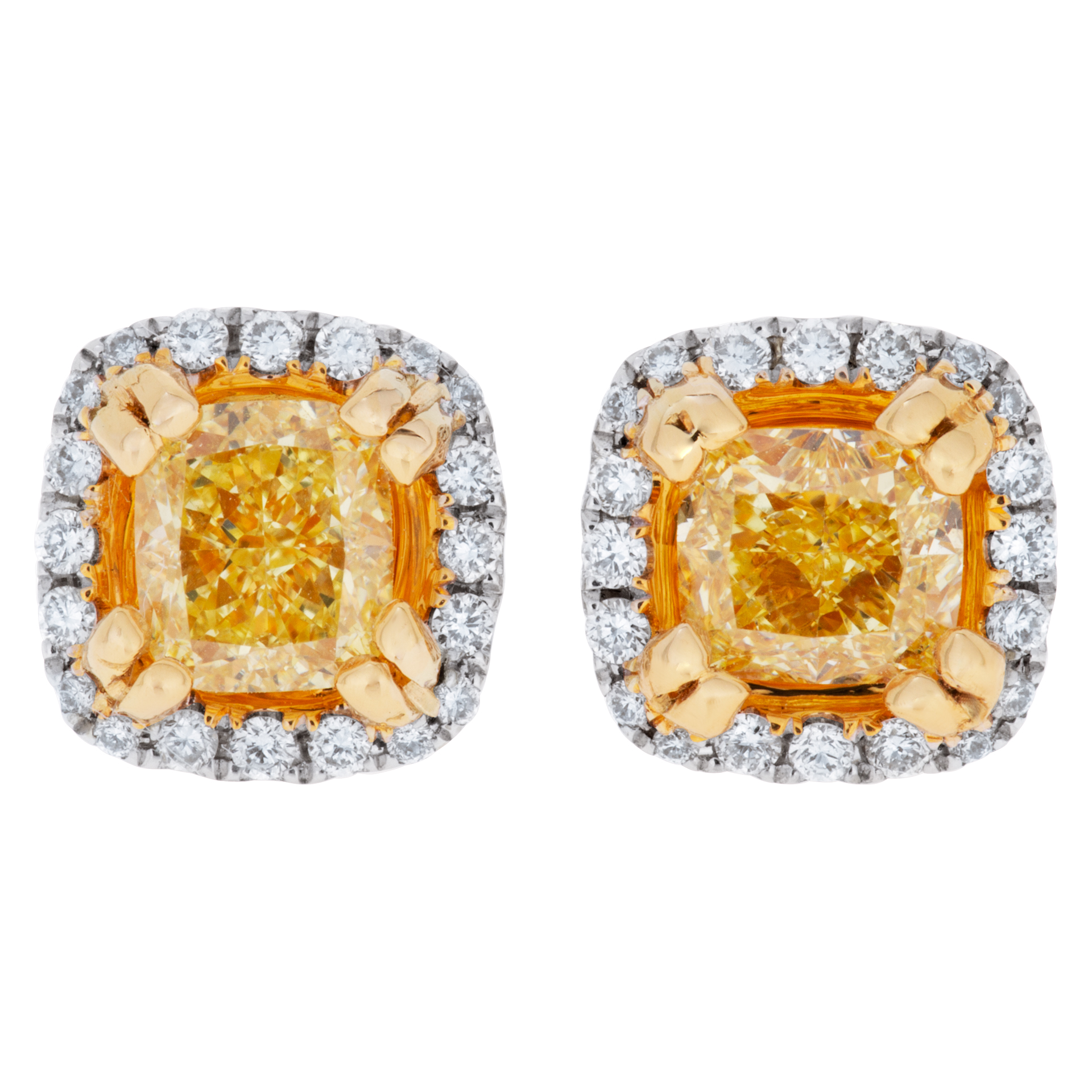 Yellow diamond stud earrings in 18k white and yellow gold
