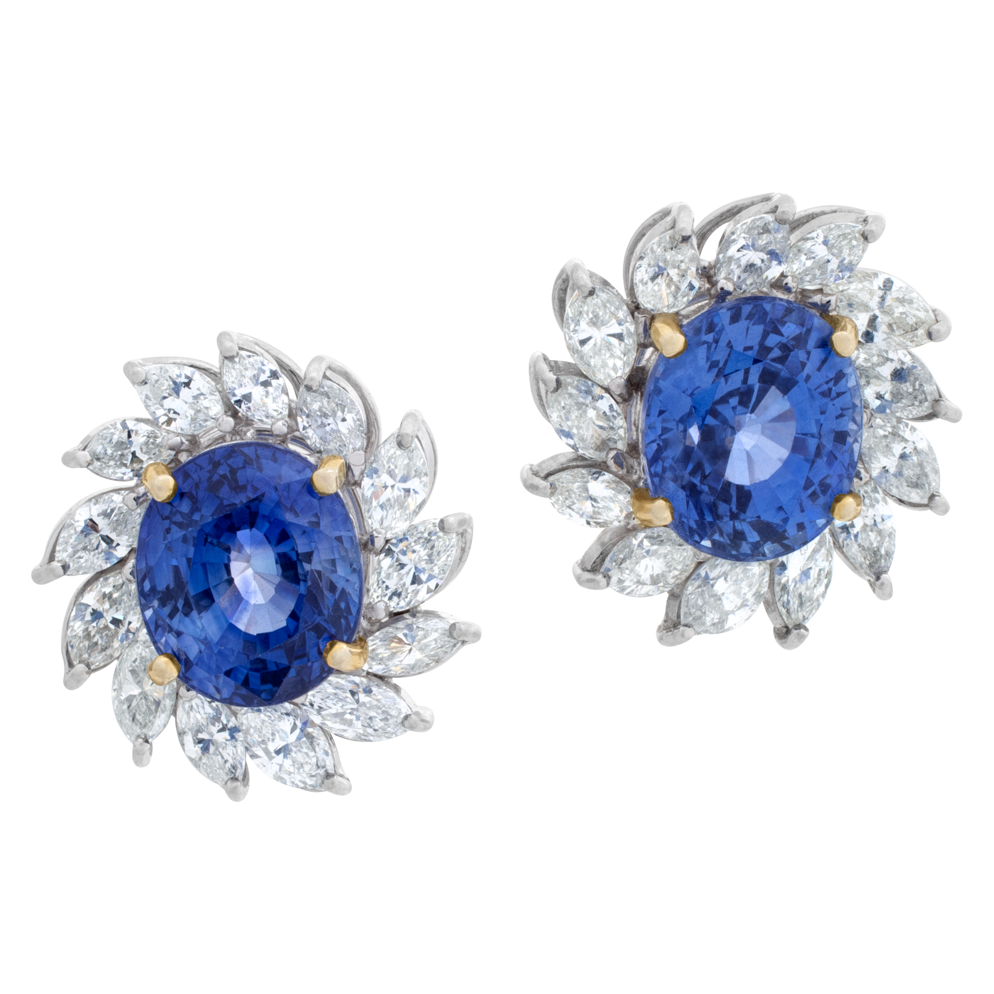 Blue sapphire and diamond earrings in 18k white gold